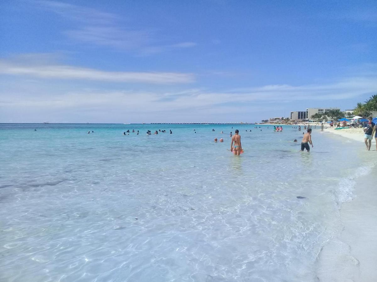Apartamento Hermoso Y Nuevo Estudio Cerca De 5ta Av Y Playa *