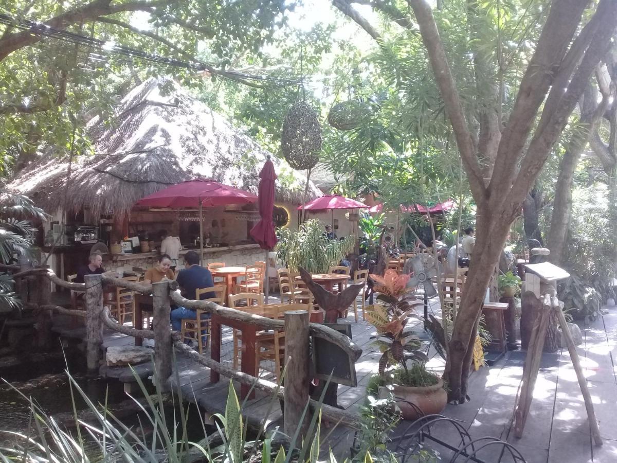 Hermoso Y Nuevo Estudio Cerca De 5ta Av Y Playa *