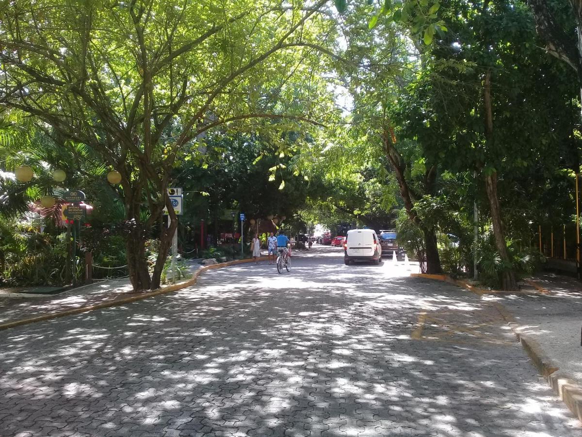 Hermoso Y Nuevo Estudio Cerca De 5ta Av Y Playa Apartamento *